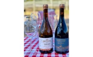 Do Cerrado para o mundo Vinícola de Brasília, premiada mundialmente, desembarca em Goiânia