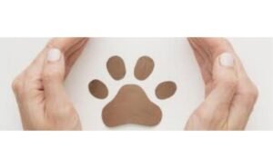 O caso da cadela Kim em Congonhas: uma história com final feliz que serve de alerta para evitar uma tragédia na Aviação Civil